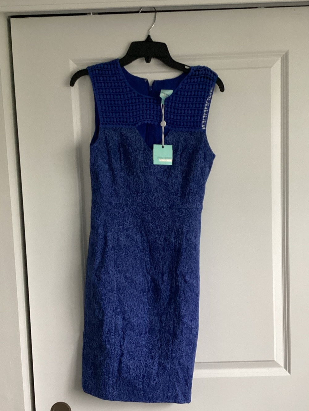 Plenty by Tracey Reese Olivia sleeveless blue dress
